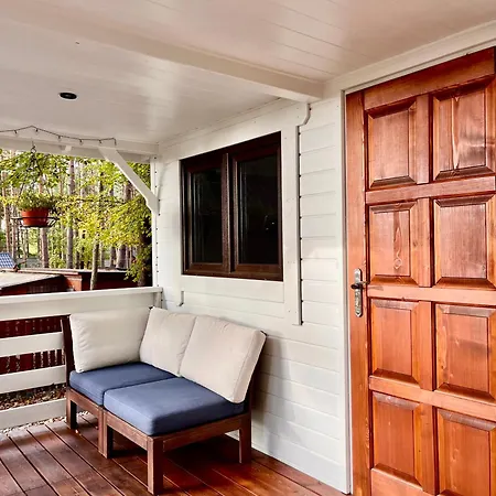 W Lesie Nad Jeziorem Zarnowieckim Lubkowo