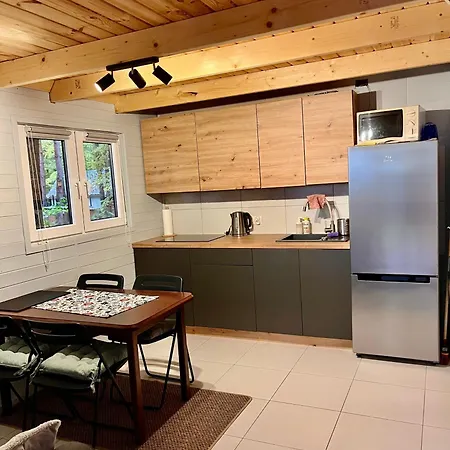 W Lesie Nad Jeziorem Zarnowieckim Lubkowo