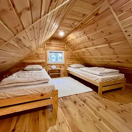 W Lesie Nad Jeziorem Zarnowieckim *