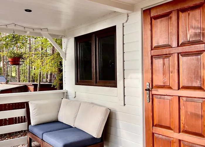 W Lesie Nad Jeziorem Zarnowieckim Lubkowo