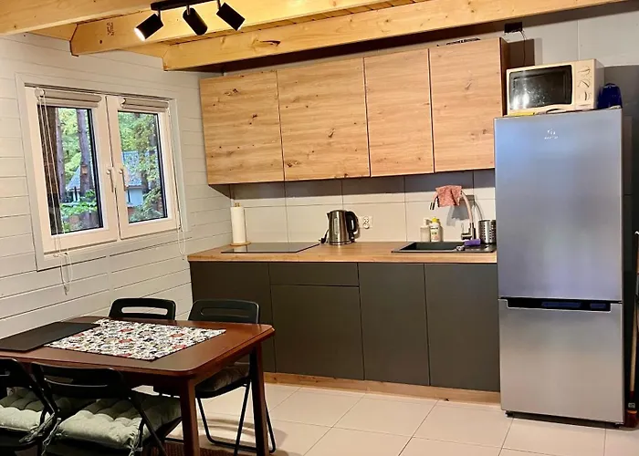 W Lesie Nad Jeziorem Zarnowieckim Lubkowo