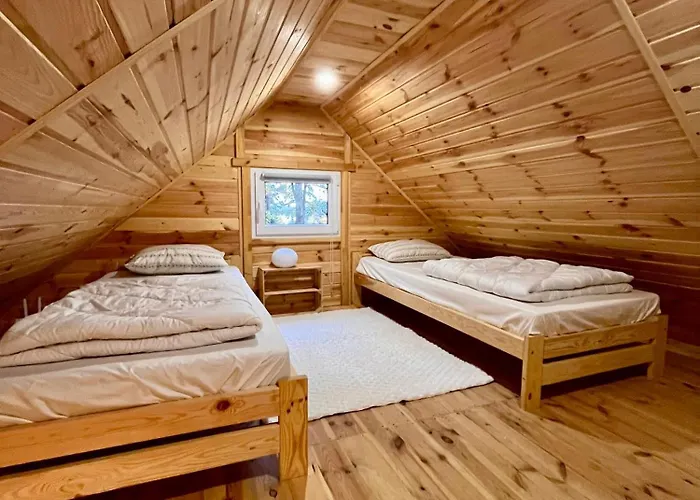 W Lesie Nad Jeziorem Zarnowieckim *