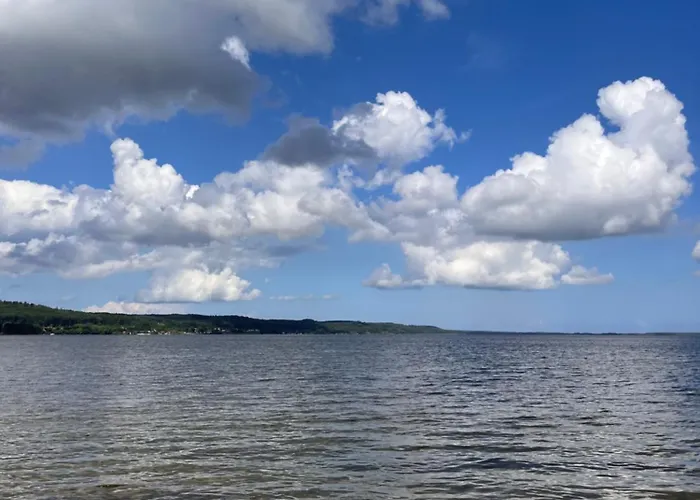 W Lesie Nad Jeziorem Zarnowieckim